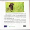 Marsupiaux et rongeurs de guyane. François Catzeflis Sébastien Barrioz Jean-François Szpigel et Benoît de Thoisy