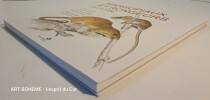 Marsupiaux et rongeurs de guyane. François Catzeflis Sébastien Barrioz Jean-François Szpigel et Benoît de Thoisy