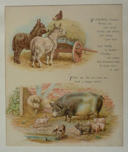 Illustration en chromolithographie : Scènes de la ferme : ânes et cochons