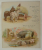 Illustration en chromolithographie : Scènes de la ferme : ânes et cochons. Anonyme