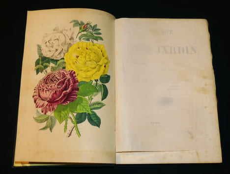 Voyage autour de mon jardin. Karr Alphonse