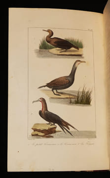 Oeuvres complètes de Buffon, 20 volumes. Buffon Georges-Louis Leclerc de