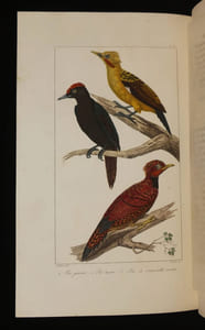 Oeuvres complètes de Buffon, 20 volumes