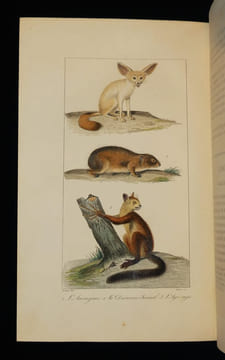 Oeuvres complètes de Buffon, 20 volumes. Buffon Georges-Louis Leclerc de