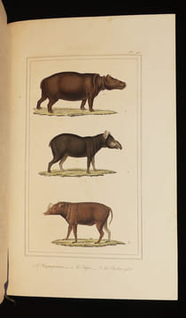 Oeuvres complètes de Buffon, 20 volumes. Buffon Georges-Louis Leclerc de