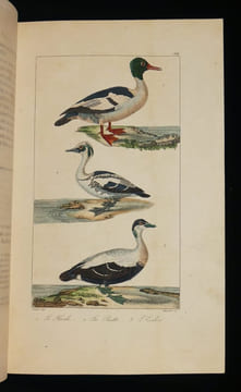 Oeuvres complètes de Buffon, 20 volumes. Buffon Georges-Louis Leclerc de