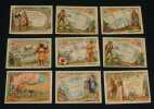 Lot de 9 chromos 'A la Belle Jardini&egrave;re' : Billets et timbres. Collectif