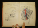 Précis d'anatomie : Anatomie des membres, ostéologie du crane, de la face, du thorax et du bassin. Texte et atlas (2 volumes). Grégoire R. Dr,Oberlin ...