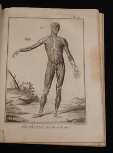 Anatomie, contenant trente-trois planches