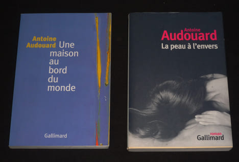 Lot de 2 ouvrages d'Antoine Audouard : Une maison au bord du monde - La Peau à l'envers. Audouard Antoine