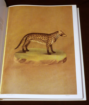 Le Bestiaire de Rodolphe II. Haupt Herbert,Irblich Eva,Vignau-Wilberg Théa