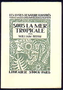 Sous la mer tropicale