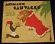 Animaux sauvages. Anonyme