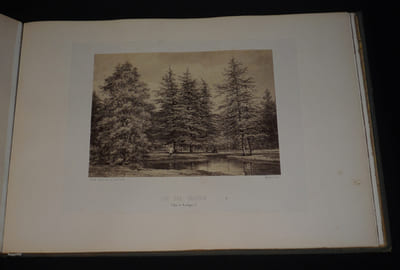 Embellissements du bois de Boulogne, exécutés d'après les ordres de S.M. l'Empereur Napoléon III - Embellissements du bois de Vincennes, exécutés d'après les ordres de S.M. l'Empereur Napoléon III (2 volumes)