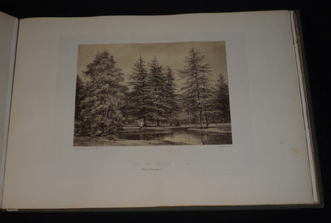 Embellissements du bois de Boulogne, exécutés d'après les ordres de S.M. l'Empereur Napoléon III - Embellissements du bois de Vincennes, exécutés ...