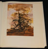 Illuminations. Rimbaud Arthur