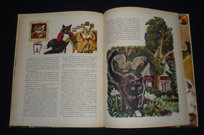 Le Grand Livre des Chats