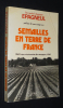 Semailles en terre de France, 1943-1949. Epagneul Michel-Dominique