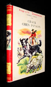 Crack Chien patagon