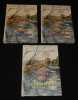 Marais de Redon et de Vilaine (3 volumes). Collectif