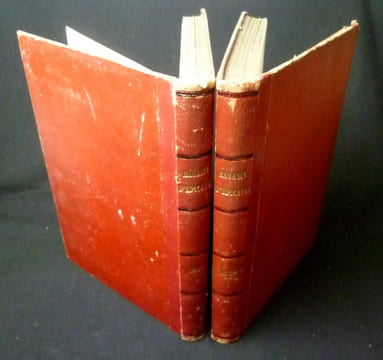 Magasin d'éducation et de récréation (année complète 1882). Collectif,Macé Jean,Stahl P.-J.,Verne Jules