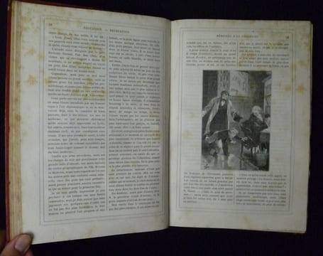 Magasin d'éducation et de récréation (année complète 1882). Collectif,Macé Jean,Stahl P.-J.,Verne Jules