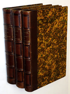 Histoire de Robespierre d'après des papiers de famille, les sources originales et des documents entièrement inédits (3 volumes). Hamel Ernest