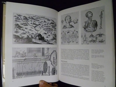 Le chant d'Euterpe, l'aventure de la musique. Massip Catherine