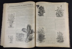 Le Petit Jardin. Journal pratique de Jardinage et de la Vie à la Campagne (1907 - 14e année). collectif, Martinet H.