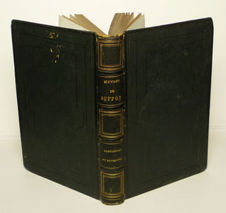 Oeuvres de Buffon, avec les suppléments de Lacépède, Cuvier, Réaumur, enrichies d'histoires et d'anecdotes empruntées aux voyageurs français et anglais : Carnassiers et rongeurs