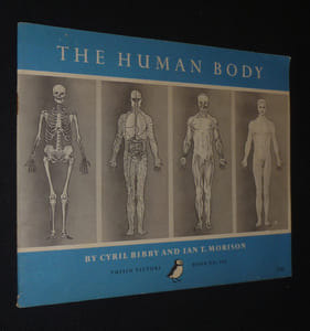 The Human Body