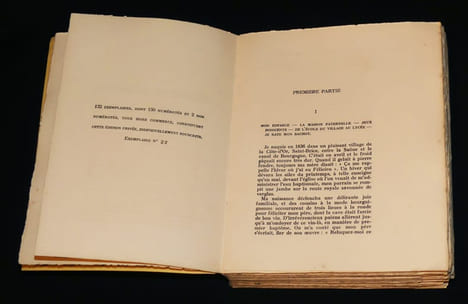 Mémoires amoureux de Félicien Fargèze. Fargèze Félicien