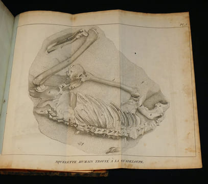 Discours sur les révolutions de la surface du globe, et sur les changemens qu'elles ont produits dans le règne animal. Cuvier G.