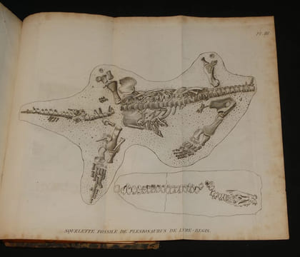 Discours sur les révolutions de la surface du globe, et sur les changemens qu'elles ont produits dans le règne animal. Cuvier G.