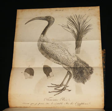 Discours sur les révolutions de la surface du globe, et sur les changemens qu'elles ont produits dans le règne animal. Cuvier G.