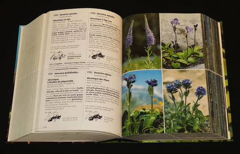 Flora Helvetica : Flore illustrée de Suisse (2 volumes). Lauber Konrad, Wagner Gerhart