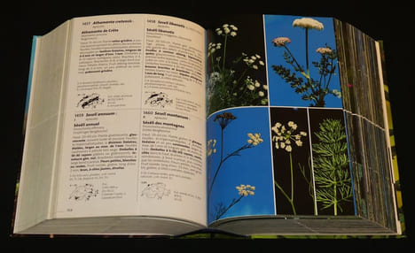 Flora Helvetica : Flore illustrée de Suisse (2 volumes). Lauber Konrad, Wagner Gerhart