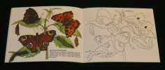 Coloriages Didactiques Artima : Papillons. Eigner Erwin