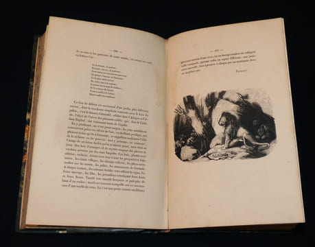 Paris : Illustrations. Album de gravures par les premiers artistes de France, avec des textes, pièces de vers, nouvelles, etc.. Collectif