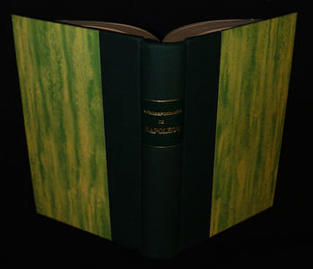 Correspondance de Napoléon : Six cent lettres de travail (1806-1810)