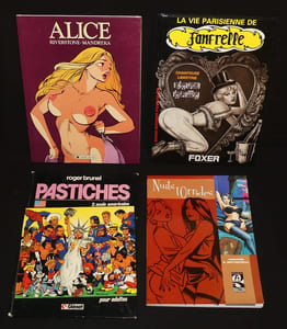 Lot de 12 bandes dessinées pour adultes