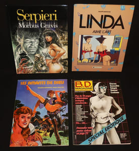 Lot de 12 bandes dessinées pour adultes