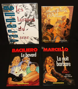Lot de 12 bandes dessinées pour adultes