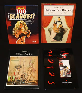 Lot de 11 bandes dessinées pour adultes. Ruvanti, Dany, Foxer, Pichard Georges, Enard, Cavell Philippe, Manara Milo, Lévis Georges, Frollo Leone, ...