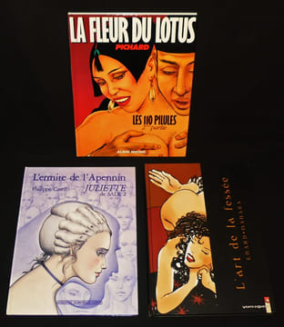 Lot de 11 bandes dessinées pour adultes. Ruvanti, Dany, Foxer, Pichard Georges, Enard, Cavell Philippe, Manara Milo, Lévis Georges, Frollo Leone, ...