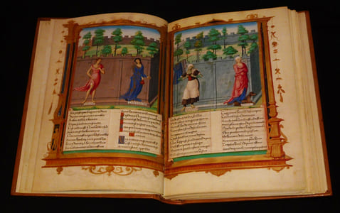 Le Roman de la Rose, pour François Ier (fac-similé du Manuscrit M.948, Pierpont Morgan Library de New York) (2 volumes)