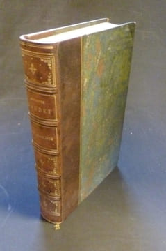 L'évangéliste, roman parisien. Daudet Alphonse