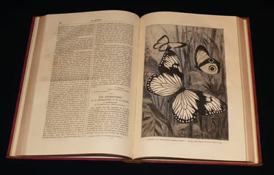 La Nature (2 volumes), année 1880 complète