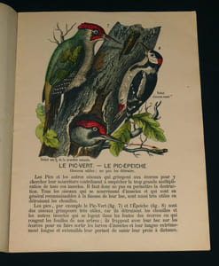 Les Amis et les ennemis de nos jardins. N°1. 3ème série