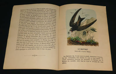 Les Amis et les ennemis de nos jardins. N°1. 3ème série